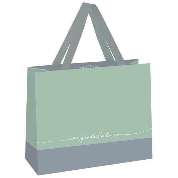 Пакет подарочный 23*18*10см MESHU "Duotone. Gray-mint", отд. фольгой, матовая ламинация MS_45810 339817