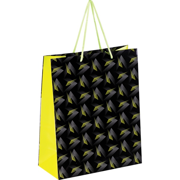 Пакет подарочный 26*32*12см ArtSpace "Pattern", ламинированный 302713 YCl_32955